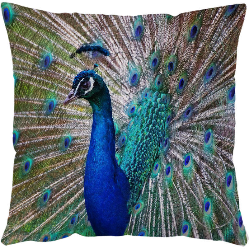 Housses de Coussin Tortue – Déco Bord de Mer